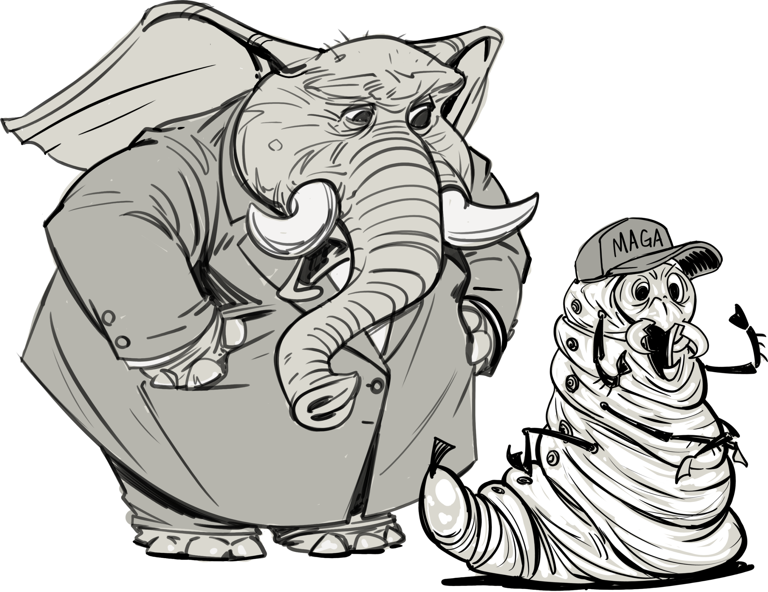 Animals elephant andmaggot v01 240817